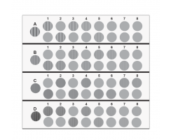 CSV1000E CONTRAST CHARTS