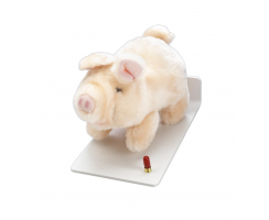 PIGLET - DISTANCE FIXATION ANIMAL