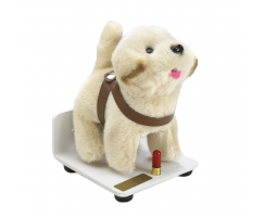 RETRIEVER PUPPY - DISTANCE FIXATION ANIMAL