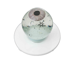 SIEPSER VITREOUS FLOATER DEMONSTRATOR