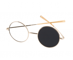 REVERSIBLE OCCLUDING GLASSES